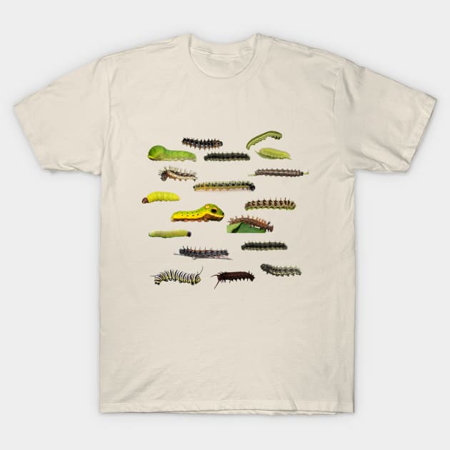 New England Caterpillars T-Shirt by Electric Mermaid